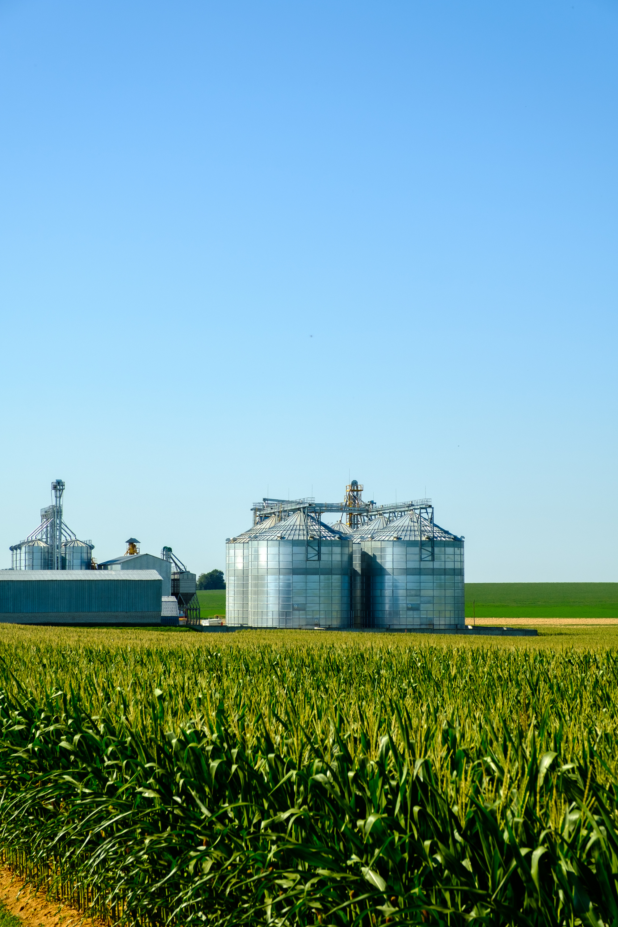 Agricultural Silos. Building for Storage and Drying of Grains, Wheat, Corn. Modern Granary Elevator. Agribusiness Concept.